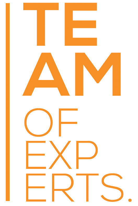 team-of-experts